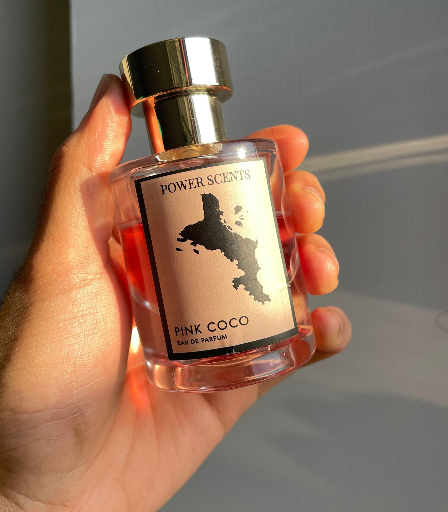 Power Scents Pink Coco 50ml Eau de Parfum – Sweet Floral Perfume for Women
Pink Coco perfume bottle – sweet floral niche perfume for women made in Dubai