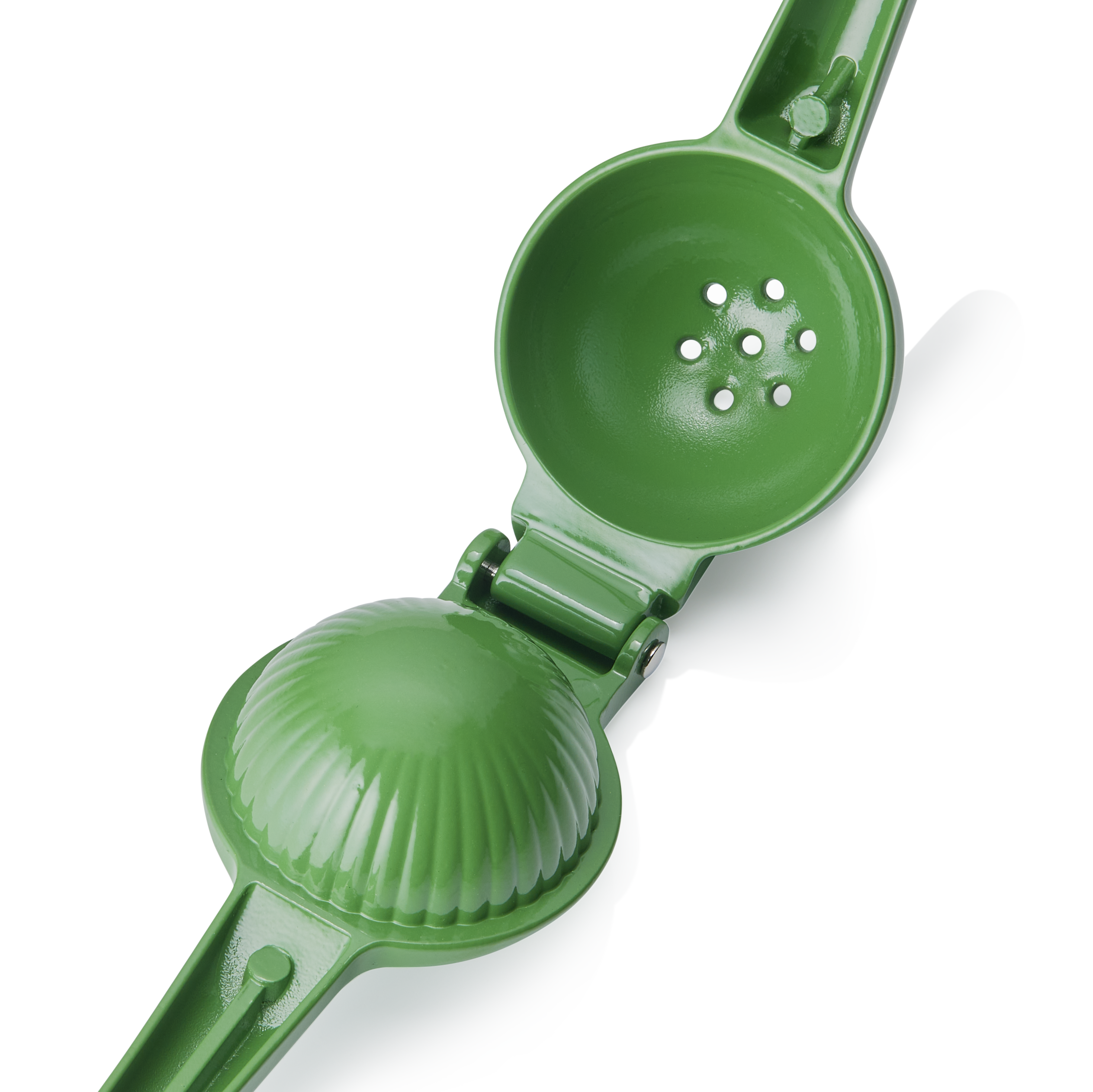 Citrus juicer Green (5 cm)
