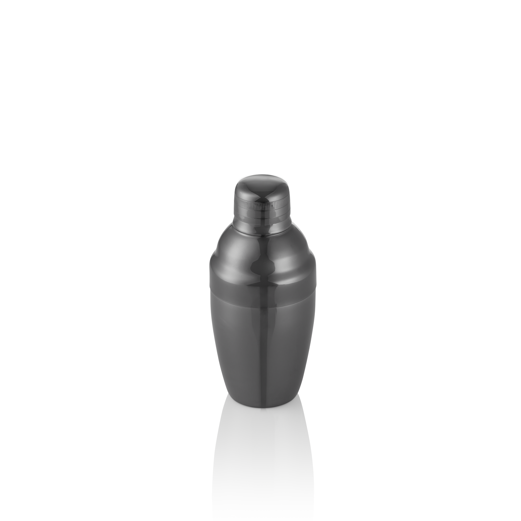 Mini Shaker Classic (250 ml)